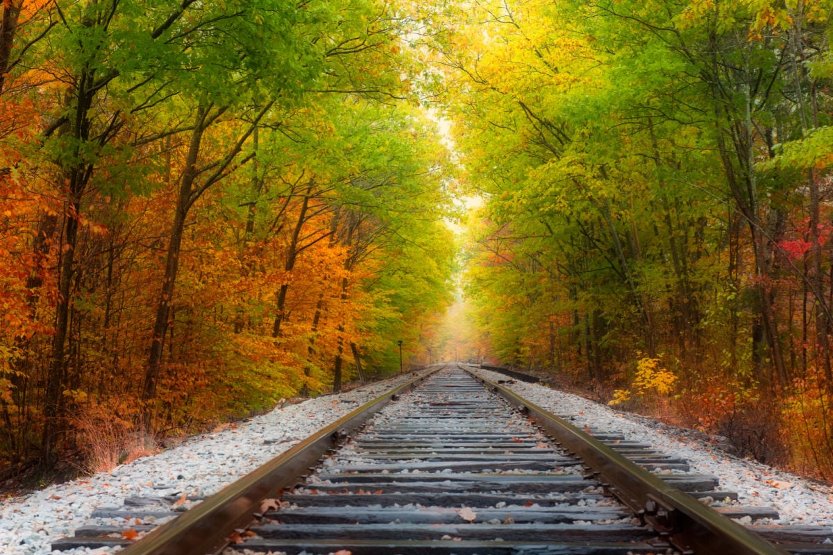 Train tracks through fall foliage